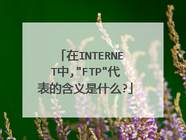 在INTERNET中,