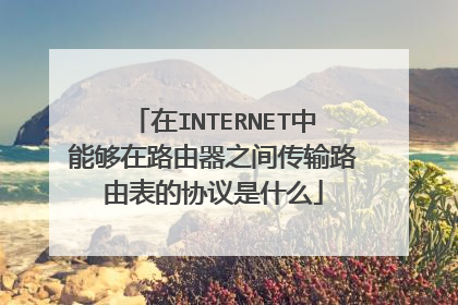在INTERNET中能够在路由器之间传输路由表的协议是什么