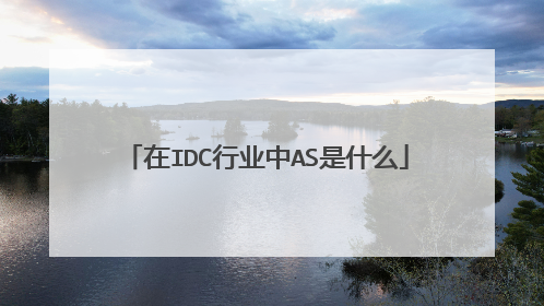 在IDC行业中AS是什么