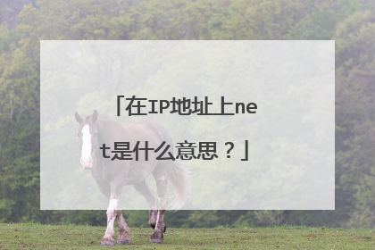 在IP地址上net是什么意思？