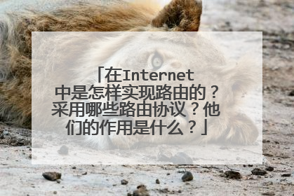 在Internet中是怎样实现路由的？采用哪些路由协议？他们的作用是什么？