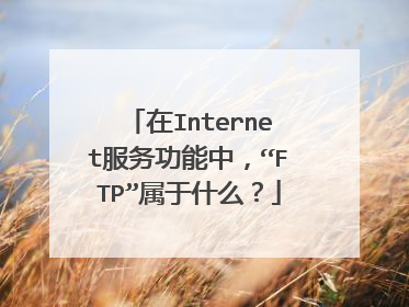 在Internet服务功能中，“FTP”属于什么？