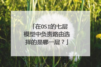 在OSI的七层模型中负责路由选择的是哪一层?