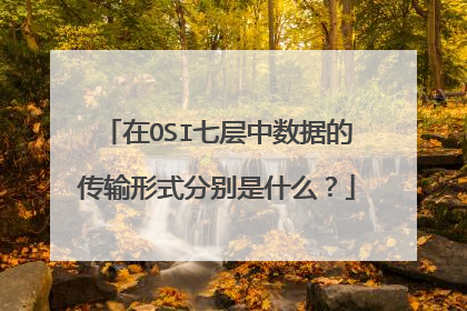 在OSI七层中数据的传输形式分别是什么?