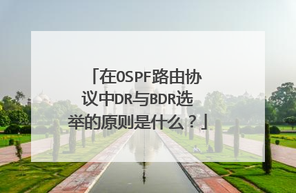 在OSPF路由协议中DR与BDR选举的原则是什么?