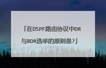 在OSPF路由协议中DR与BDR选举的原则是?