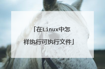 在Linux中怎样执行可执行文件
