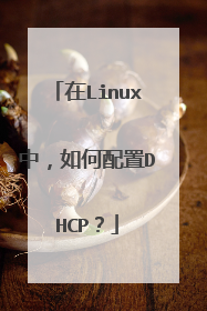 在Linux中，如何配置DHCP？