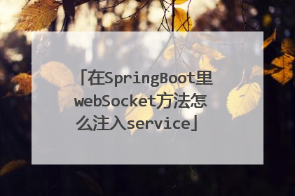 在SpringBoot里 webSocket方法怎么注入service