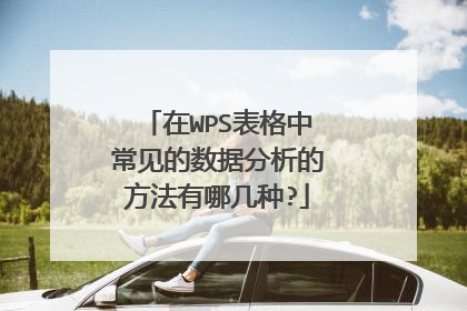 在WPS表格中常见的数据分析的方法有哪几种?