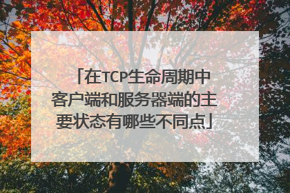 在TCP生命周期中客户端和服务器端的主要状态有哪些不同点