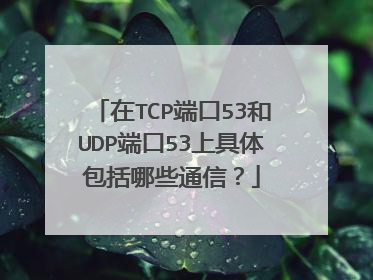 在TCP端口53和UDP端口53上具体包括哪些通信？