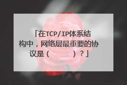 在TCP/IP体系结构中，网络层最重要的协议是（     ）？