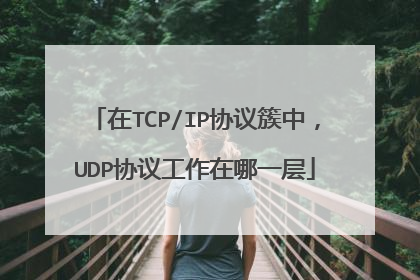 在TCP/IP协议簇中，UDP协议工作在哪一层