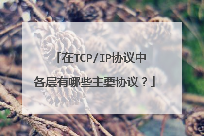 在TCP/IP协议中各层有哪些主要协议？