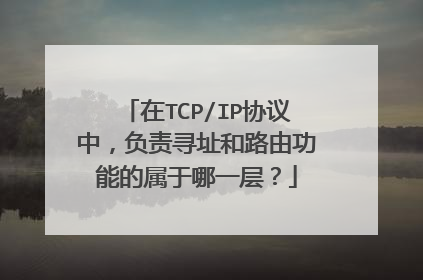 在TCP/IP协议中，负责寻址和路由功能的属于哪一层？