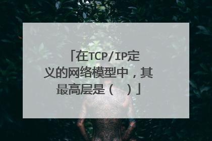 在TCP/IP定义的网络模型中，其最高层是（ ）