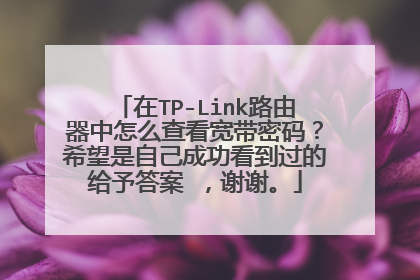 在TP-Link路由器中怎么查看宽带密码？希望是自己成功看到过的给予答案 ，谢谢。