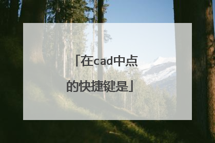 在cad中点的快捷键是