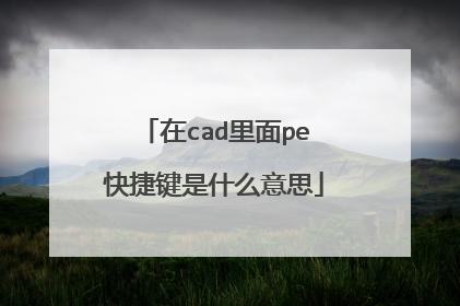 在cad里面pe快捷键是什么意思