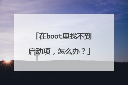 在boot里找不到启动项，怎么办？