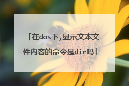 在dos下,显示文本文件内容的命令是dir吗