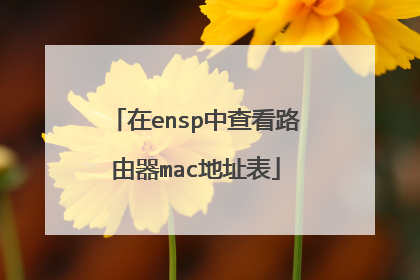 在ensp中查看路由器mac地址表