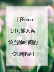 在excel中,输入系统当前时间的快捷键是