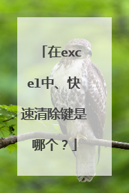 在excel中、快速清除键是哪个？