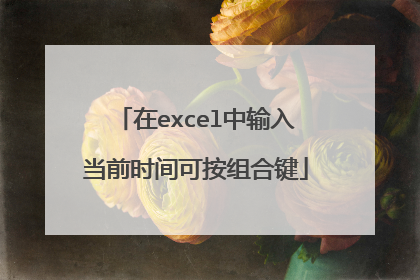 在excel中输入当前时间可按组合键