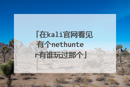 在kali官网看见有个nethunter有谁玩过那个