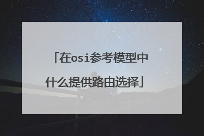 在osi参考模型中什么提供路由选择