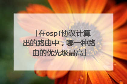 在ospf协议计算出的路由中,哪一种路由的优先级最高