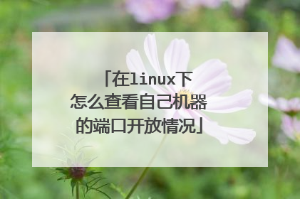 在linux下怎么查看自己机器的端口开放情况