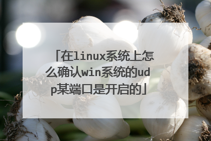 在linux系统上怎么确认win系统的udp某端口是开启的
