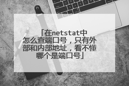 在netstat中怎么查端口号，只有外部和内部地址，看不懂哪个是端口号
