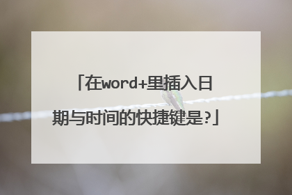 在word+里插入日期与时间的快捷键是?