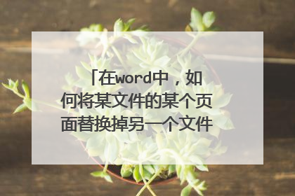 在word中,如何将某文件的某个页面替换掉另一个文件中的某个页面