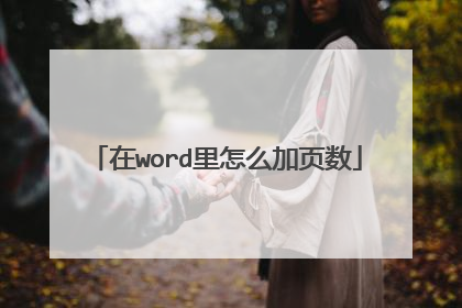 在word里怎么加页数