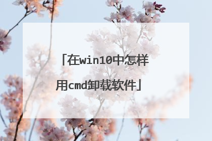 在win10中怎样用cmd卸载软件