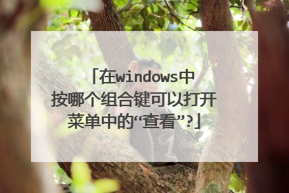 在windows中按哪个组合键可以打开菜单中的“查看”?