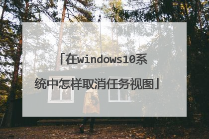 在windows10系统中怎样取消任务视图
