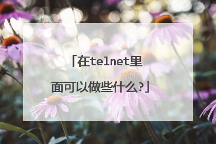在telnet里面可以做些什么?