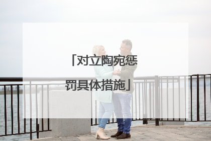 对立陶宛惩罚具体措施