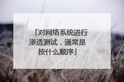 对网络系统进行渗透测试，通常是按什么顺序