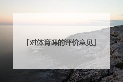 对体育课的评价意见