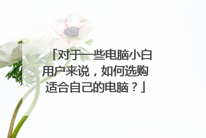 对于一些电脑小白用户来说,如何选购适合自己的电脑?