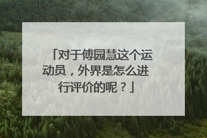 对于傅园慧这个运动员，外界是怎么进行评价的呢？