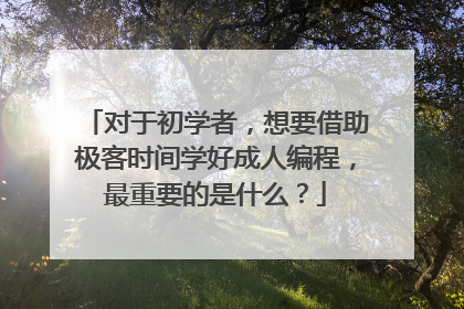 对于初学者,想要借助极客时间学好成人编程,最重要的是什么?