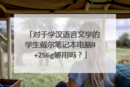 对于学汉语言文学的学生戴尔笔记本电脑8+256g够用吗?